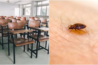 Escuelas que suspenden clases de la SEP por plaga de chinches (Foto: Getty)